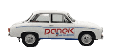 PANEK CS Sticker