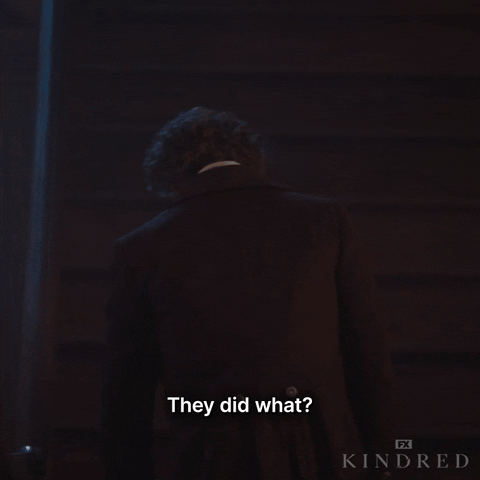 Are You Serious Excuse Me GIF by Kindred