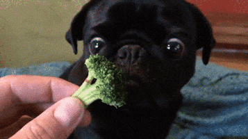 Posting silly gifs to cheer ourselves up  - Page 4 200