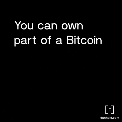Bitcoin GIF by DanHeld