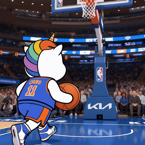 Nba Playoffs Basketball GIF by Chubbiverse