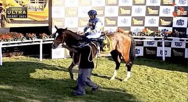 Winning Number 1 GIF by 1 Play Sports