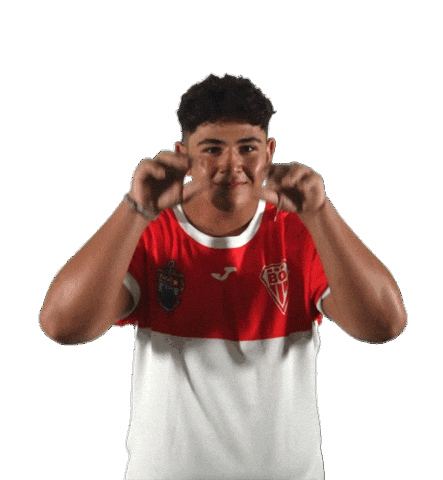 Pro D2 Rugby Sticker by Biarritz Olympique Pays Basque