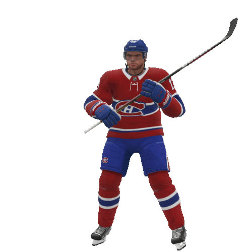 Hockey Goal Celebration Gif