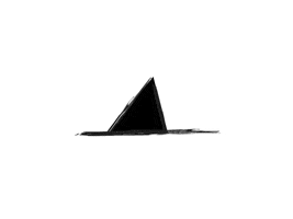 Bird GIF
