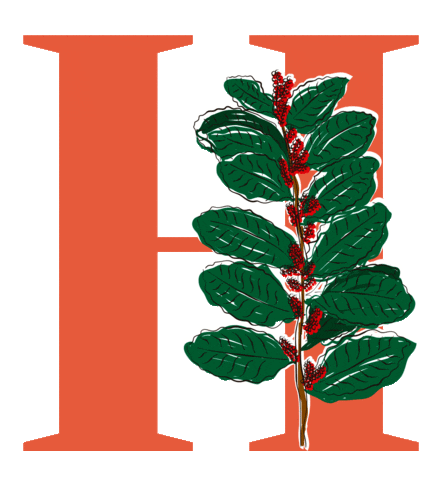 Yerba Verdeflor Sticker