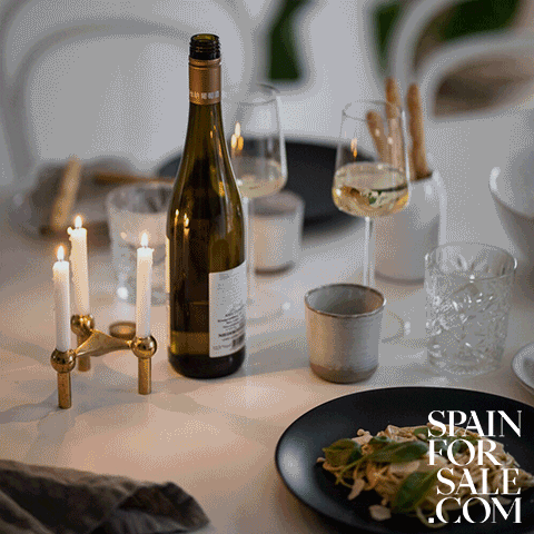 Wine Drinking GIF by Spain For Sale