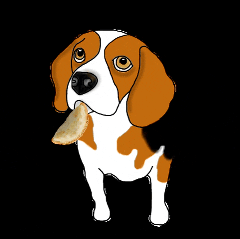 Beagle Empanada GIF