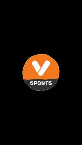 Logo GIF by VSPORTS