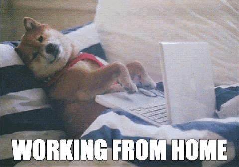 Work From Home Reaction GIF by MOODMAN - Find & Share on GIPHY