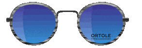 Metal Sunglasses Sticker by Ortolé French Designer
