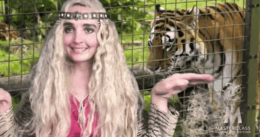 Snl GIF by Saturday Night Live