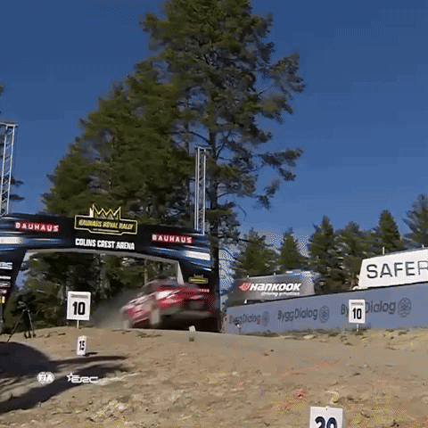 Coming Jumping Car GIF by FIA European Rally Championship