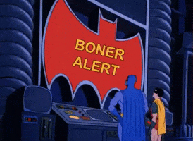 Batman Boner Alert GIF by MOODMAN