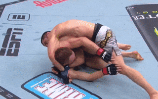 Ufc GIF