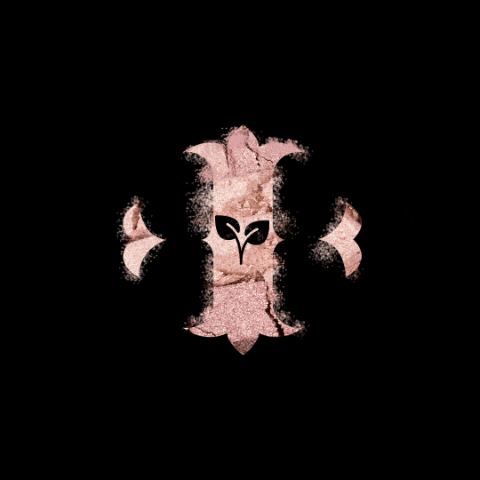 IRIS COSMETICS GIF