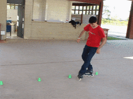 Patins GIF