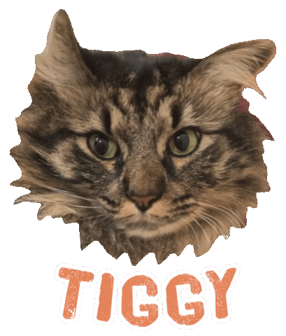 Cat Tiggy Sticker