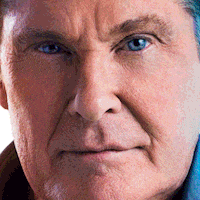 hoff thehoff GIF by ADMIRAL