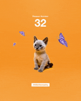 200.gif?cid=fc005b08846a20747a5f2f33f8c74152b09496731d32ed38&rid=200.gif&ct=g