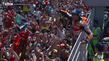 marc marquez yes GIF by MotoGP