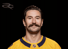 Nashville Predators GIF by Respective