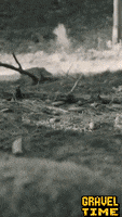 200.gif?cid=fc005b086658069afee47de8e8d9fd2d46cd7036760ed370&rid=200.gif&ct=g