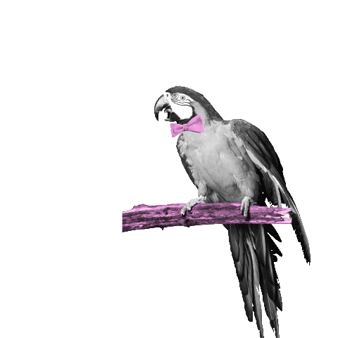 Plastelina Sticker