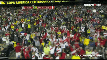 Copa America GIF