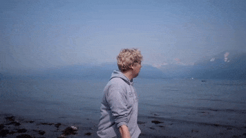 Donald Trump Meme GIF