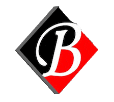 Buta Gozellik Merkezi Sticker