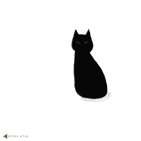 mihuachen cat fear blackcat mihua GIF