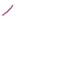 Lets Get Married Wedding Sticker by Div - Your Queer Celebrant