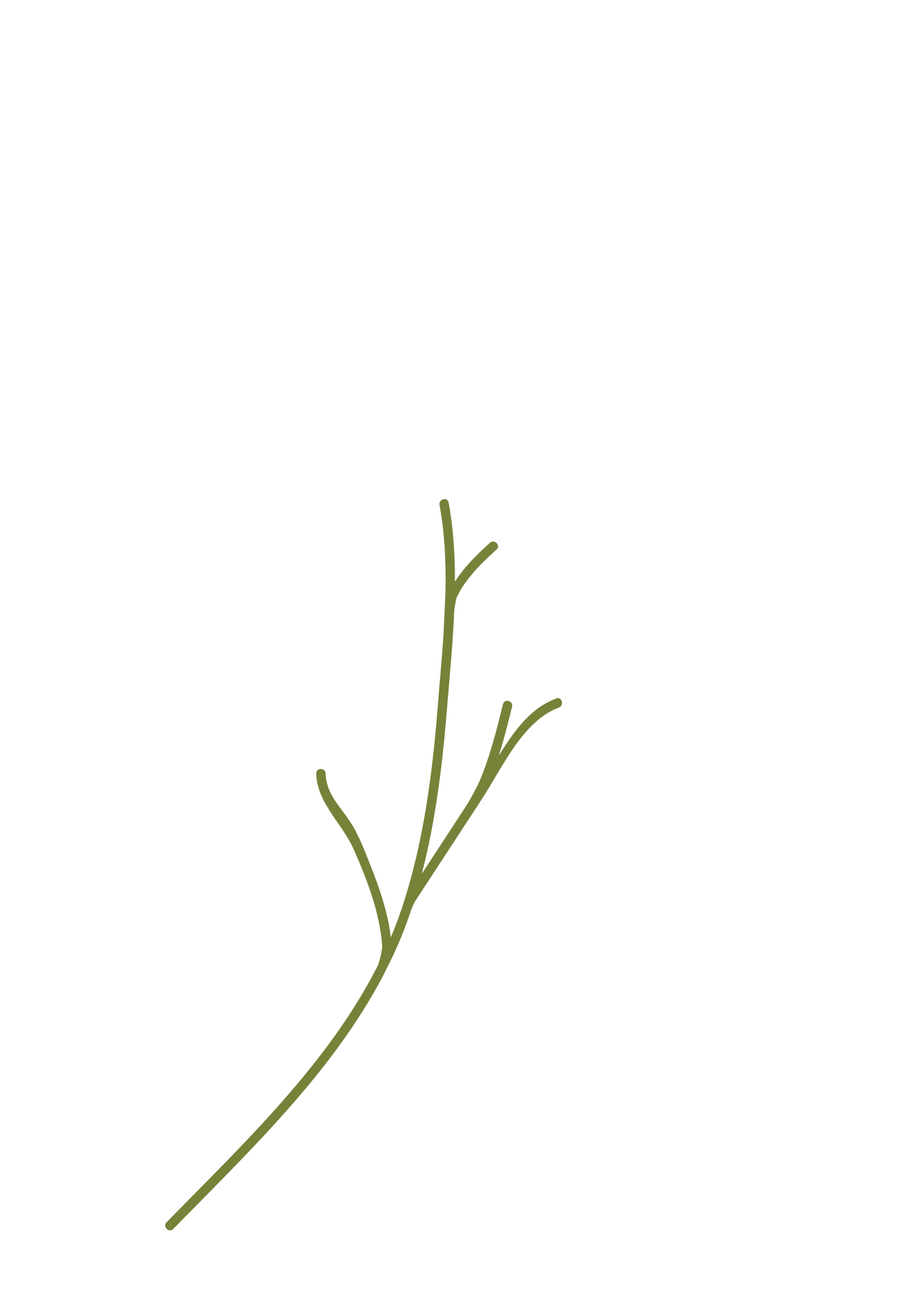 Plant Growing Sticker by Bouclair - Find & Share on GIPHY