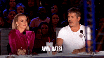 Aww Rats GIF by America's Got Talent