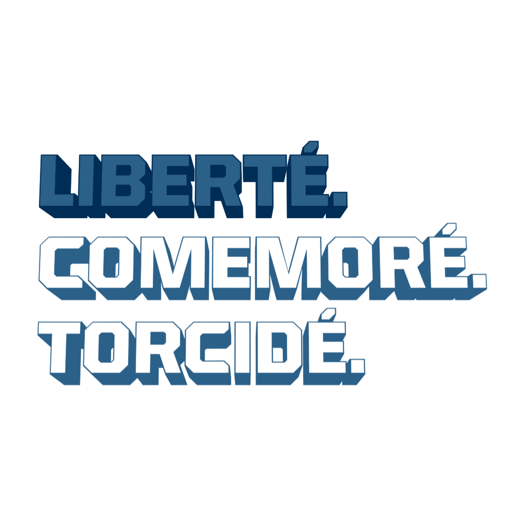 Libertadores Liberte Sticker by NOO