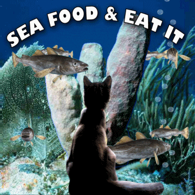 Eat Fish GIFs - Find & Share on GIPHY