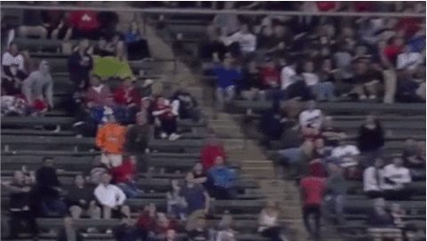 fail detroit tigers GIF