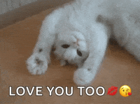 Cause I Know U Love Terry Gifs Get The Best Gif On Giphy Cause I Know U Love Terry Gifs Get The Best Gif On Giphy