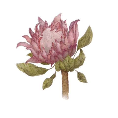 Flower Sticker