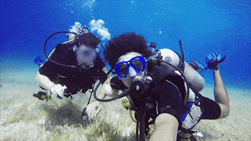 Discovery GIF by Shark Week