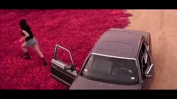 pink fight GIF by Lukas Nelson