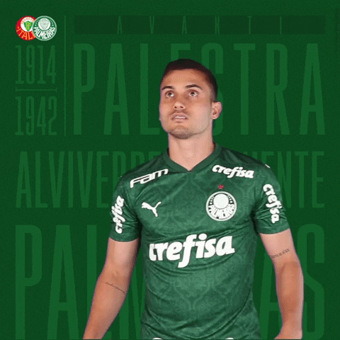 Futebol Puma GIF by SE Palmeiras