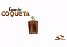 Pisos & Muebles Excell GIF