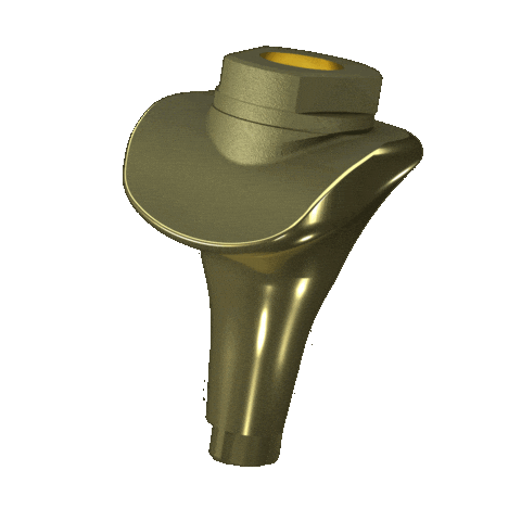 Gf Implant Sticker by Biotech Dental