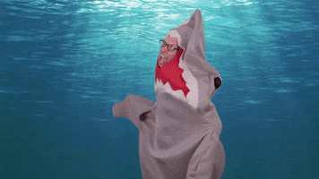 Awesome You Can Do It GIF by Shark Week