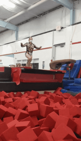 giphy.gif