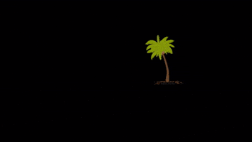 Paraíso Records GIF