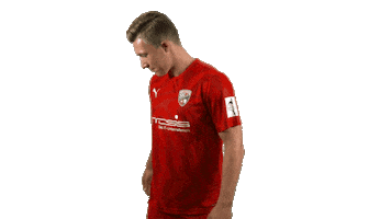 FC Ingolstadt 04 Sticker