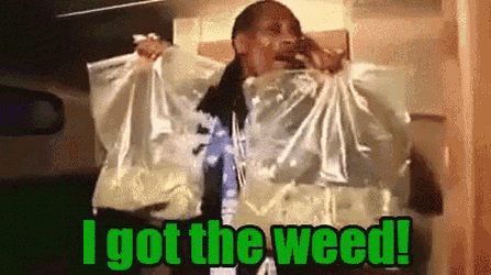 I Got The Weed GIFs - Get the best GIF on GIPHY
